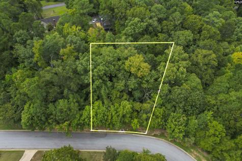 329 Old Wood Drive Columbia SC 29212