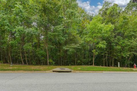 329 Old Wood Drive Columbia SC 29212