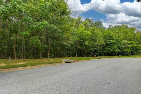 329 Old Wood Drive Columbia SC 29212