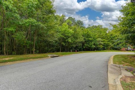 329 Old Wood Drive Columbia SC 29212