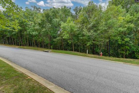 329 Old Wood Drive Columbia SC 29212