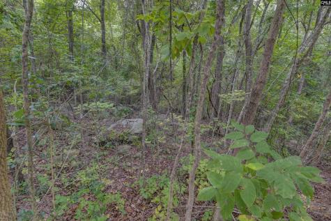 329 Old Wood Drive Columbia SC 29212