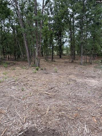 Lot 1 Quattlebaum Drive Leesville SC 29070