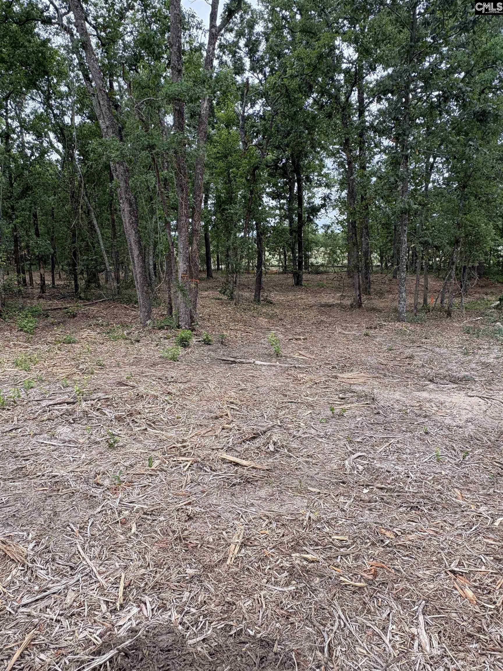 Lot 1 Quattlebaum Drive Leesville SC 29070