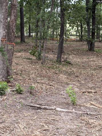 Lot 1 Quattlebaum Drive Leesville SC 29070