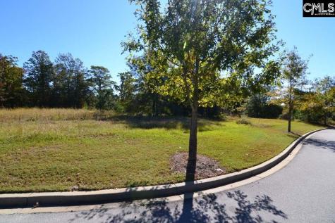 10 Blythe View Court Blythewood SC 29016