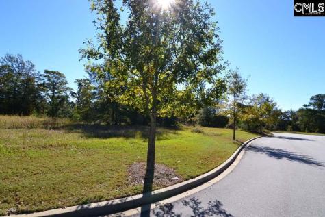 10 Blythe View Court Blythewood SC 29016