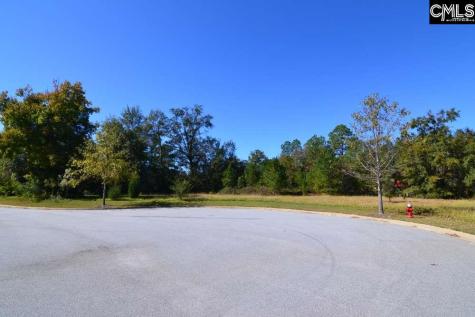 10 Blythe View Court Blythewood SC 29016