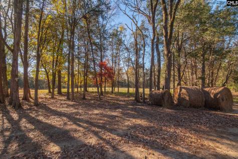 1049 Culp Ferguson Road Lancaster SC 29720