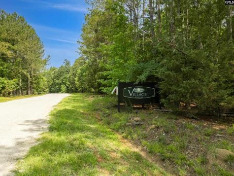 660 Clipper Trail Chapin SC 29036