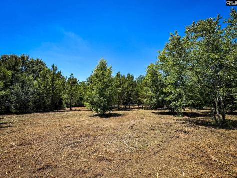 0 S Bethlehem Road Lot 1 Batesburg SC 29006