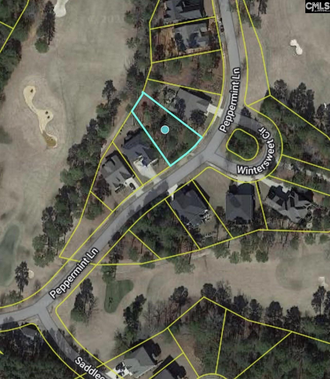 129 Peppermint Lane Blythewood SC 29016