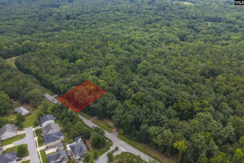 0 Corley Mill Road Lexington SC 29072