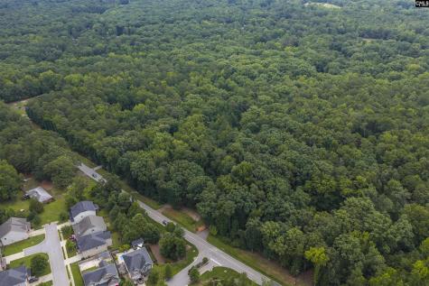 0 Corley Mill Road Lexington SC 29072