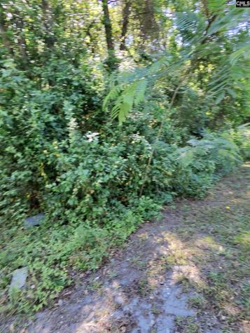 Tbd Lang Road Columbia SC 29204