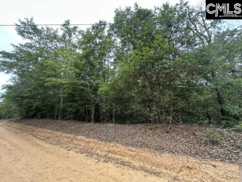 206 Bub Wise Road Swansea SC 29160