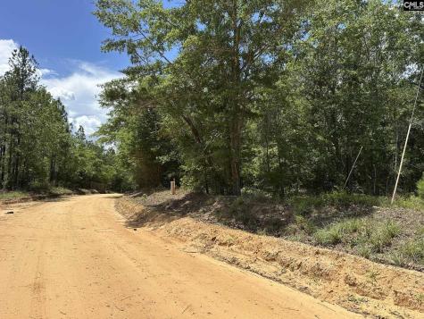 206 Bub Wise Road Swansea SC 29160