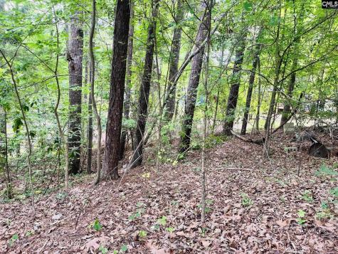 Tbd Lake Drive Leesville SC 29070