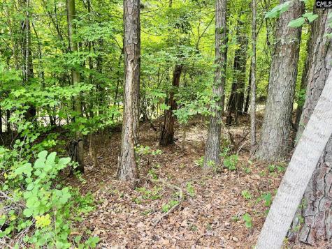 Tbd Lake Drive Leesville SC 29070