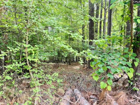 Tbd Lake Drive Leesville SC 29070