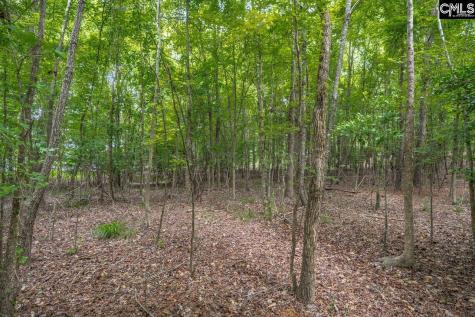 1600 Wildwood Cove Road Leesville SC 29006