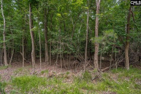 1600 Wildwood Cove Road Leesville SC 29006