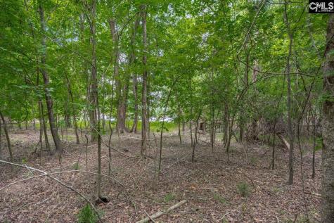 1600 Wildwood Cove Road Leesville SC 29006