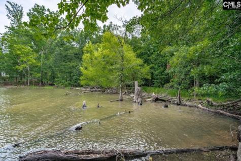 1600 Wildwood Cove Road Leesville SC 29006