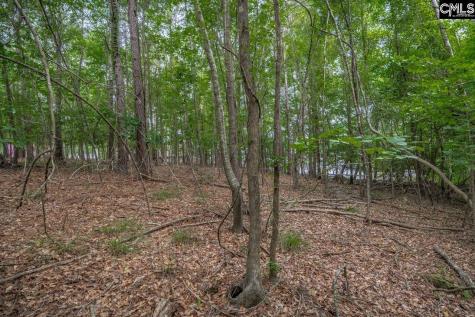 1600 Wildwood Cove Road Leesville SC 29006