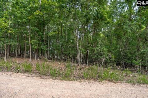 1600 Wildwood Cove Road Leesville SC 29006