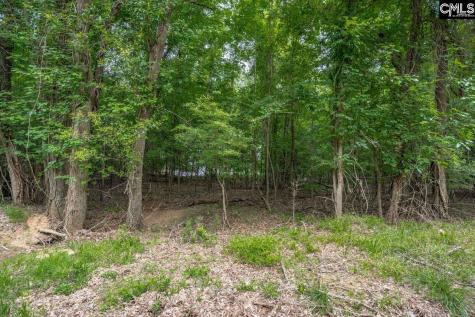 1600 Wildwood Cove Road Leesville SC 29006