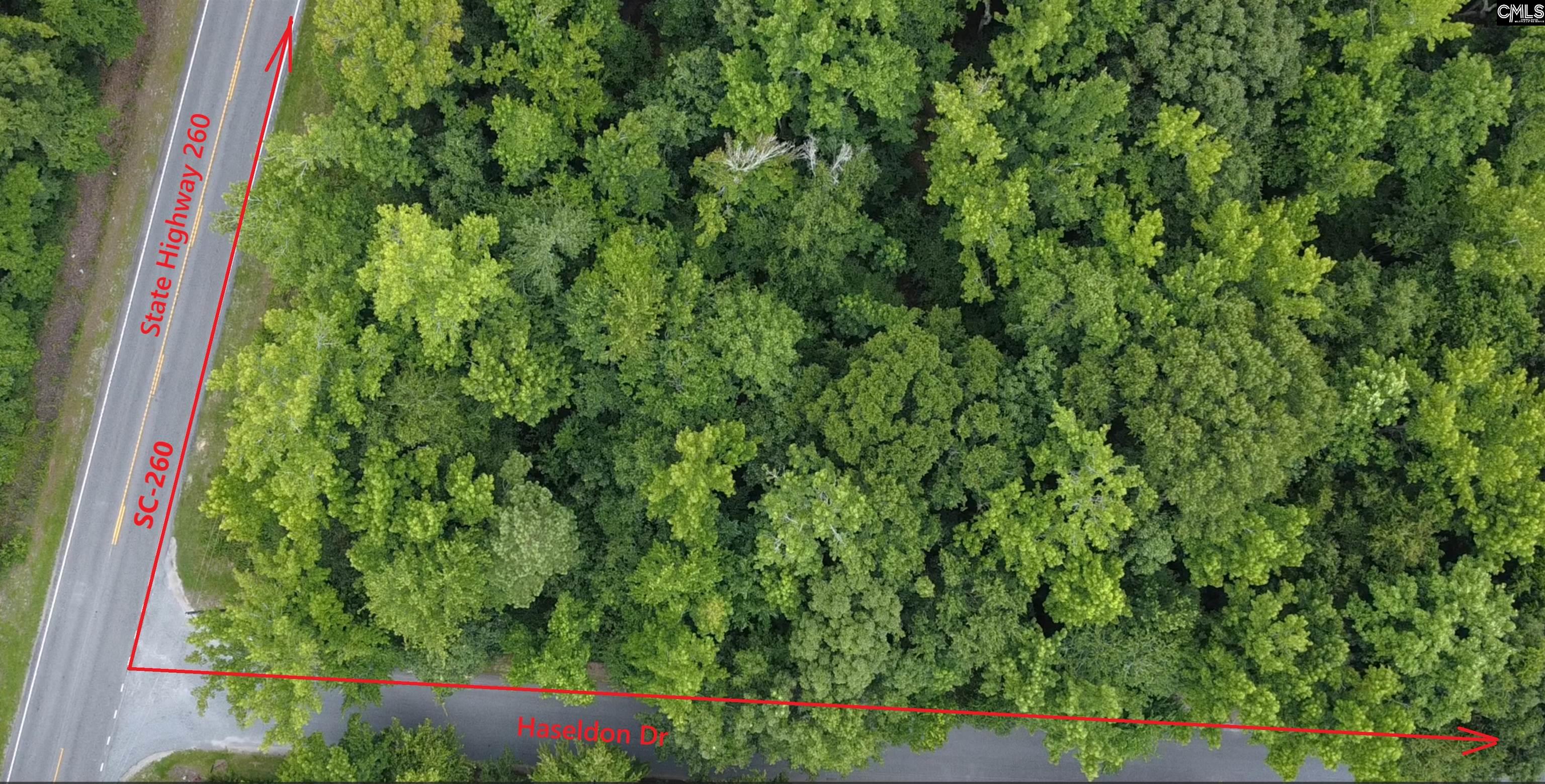 0 Haseldon Drive Manning SC 29102