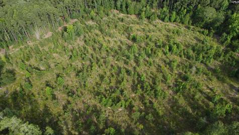 00 Goldenrod Drive Barnwell SC 29812