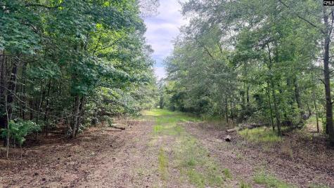 00 Goldenrod Drive Barnwell SC 29812
