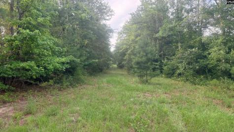 00 Goldenrod Drive Barnwell SC 29812