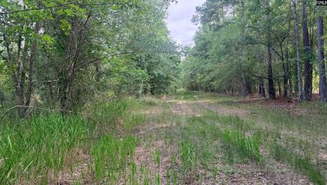00 Goldenrod Drive Barnwell SC 29812