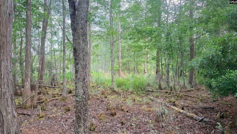 00 Goldenrod Drive Barnwell SC 29812