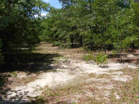 0 Meadowfield Road Gaston SC 29053