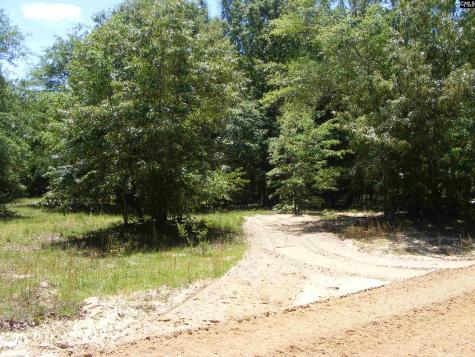 0 Meadowfield Road Gaston SC 29053