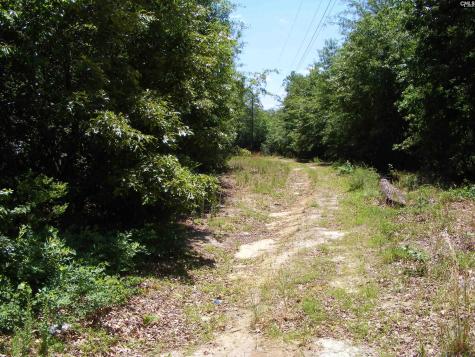0 Meadowfield Road Gaston SC 29053