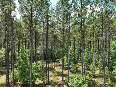 Tbd Elford Grove Jonesville SC 29353