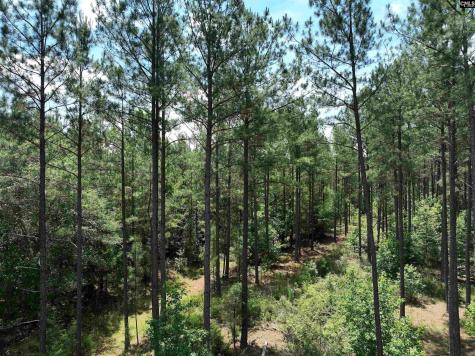 Tbd Elford Grove Jonesville SC 29353