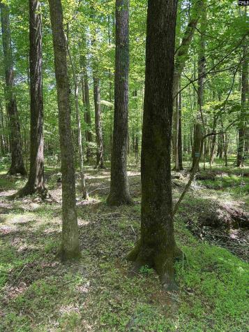Tbd Elford Grove Jonesville SC 29353