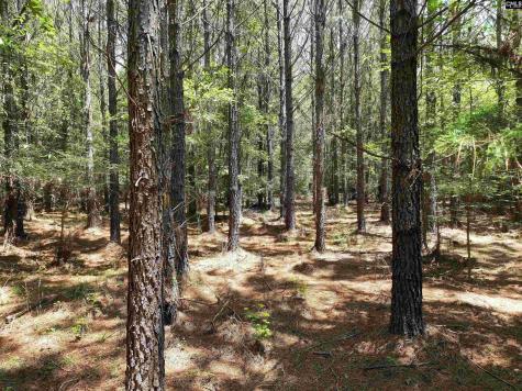 Tbd Elford Grove Jonesville SC 29353