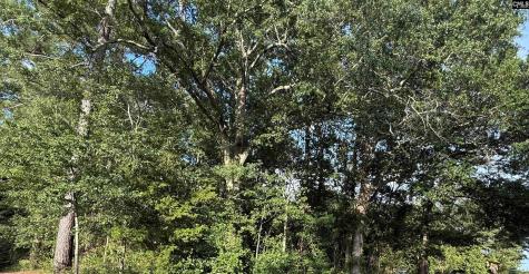 0 Hidden Valley Drive Orangeburg SC 29115