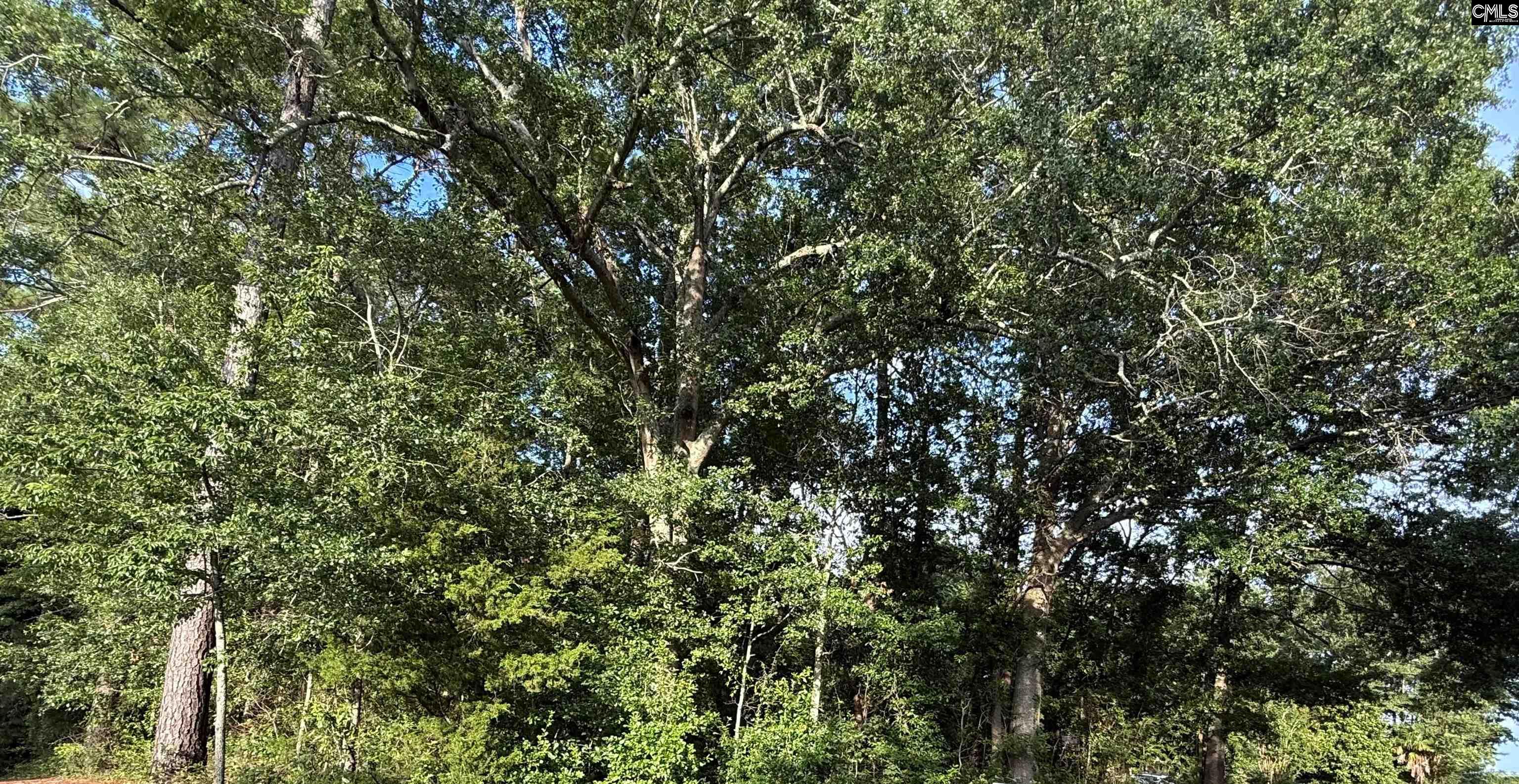 0 Hidden Valley Drive Orangeburg SC 29115