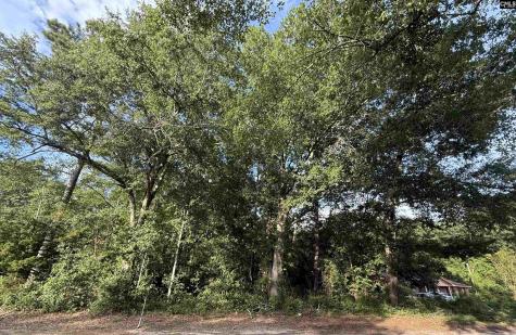 0 Hidden Valley Drive Orangeburg SC 29115