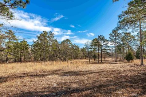 Lot 18 Hound Hollow Road Camden SC 29020