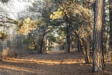 Lot 18 Hound Hollow Road Camden SC 29020