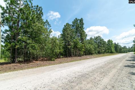 Lot 18 Hound Hollow Road Camden SC 29020